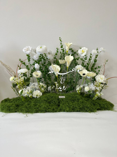 طولي مشتت 054