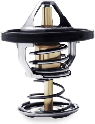 بلف حرارة ميشوموتو -كابرس 2005