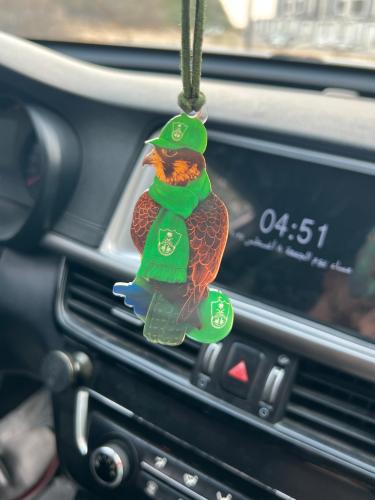 تعليقة صقر الأهلي / صقر الراقي .