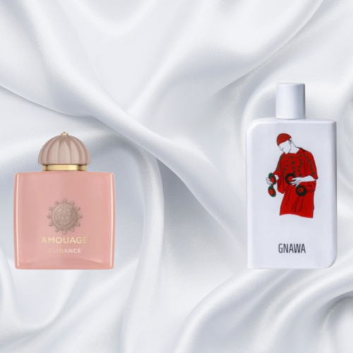 عطر صمام قناوا بديل جايدنس أمواج