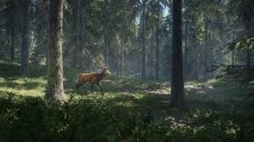 Thehunter call of wild الصياد نداء البرية