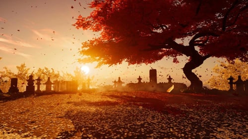 Ghost OF Tsushima DC قوست اوف تسوشيما اصدار DC