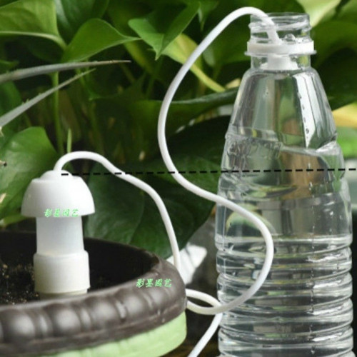 أداة للري الذاتي للنباتات