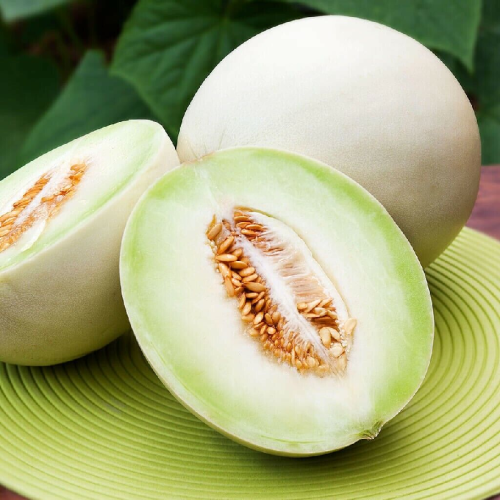 بذور شمام عسلي أخضر