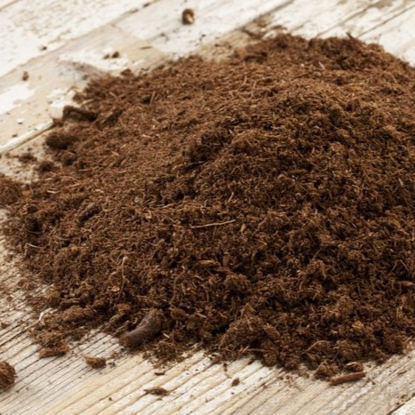 تربة البيتموس Peat moss (مخصب)
