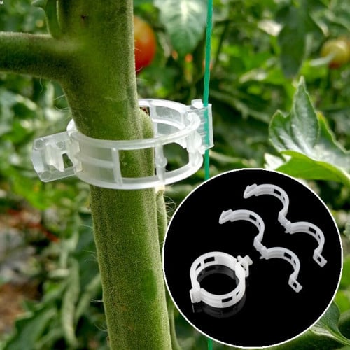 10 مشابك لربط جذع النبات