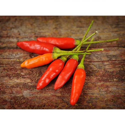 بذور فلفل تباسكو - حار- Papper Tabasco
