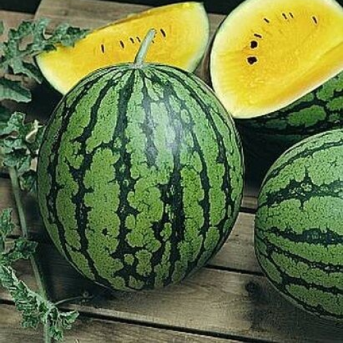 بذور بطيخ أصفر الجوهرة الحلوة