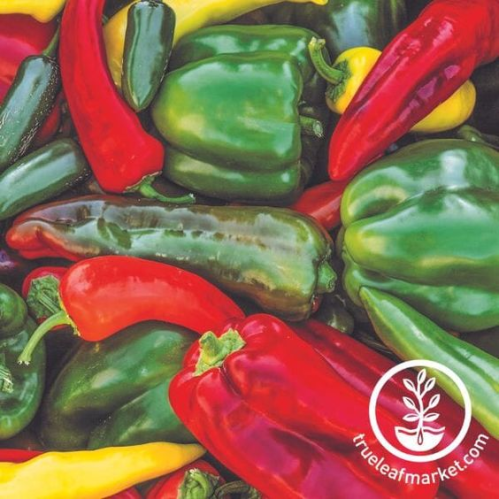 مزيج بذور الفلفل الحار والحلو