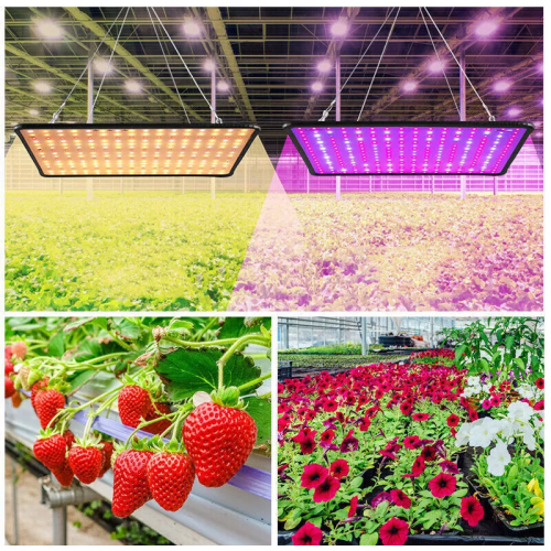 أضاءة نباتات مربعة (Growlight) 1000 واط