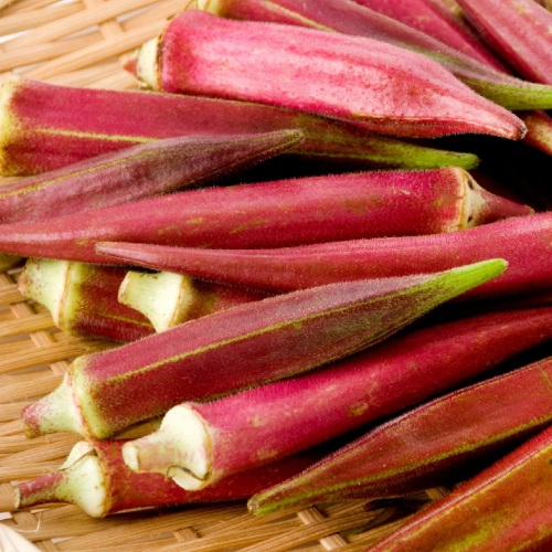 بذور الباميا الحمراء