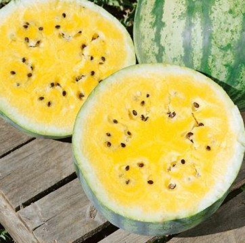 بذور بطيخ ذهبي عسلي