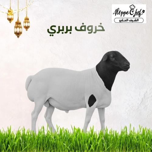 خروف بربري مرابي