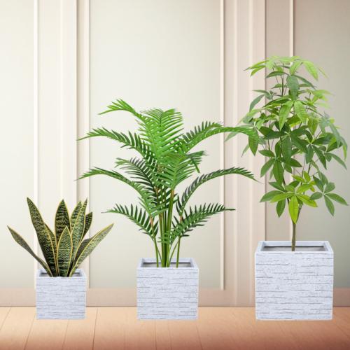 طقم أحواض مربعة للنباتات والأشجار الصناعية والطبيع...