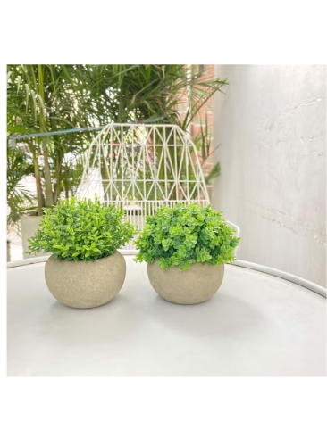 نباتات عشبية صناعية صغيرة