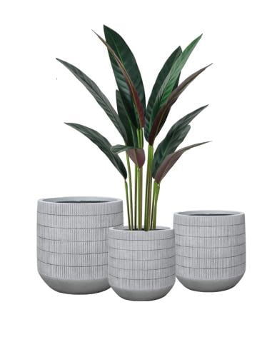 طقم أحواض للنباتات والأشجار الصناعية والطبيعية