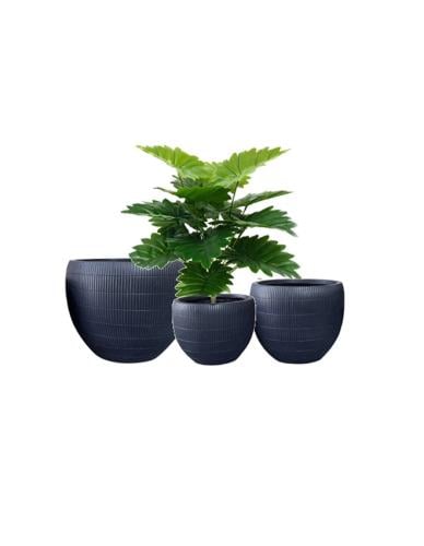 أحواض نباتات "الخطوط الرأسية" من Drama Home