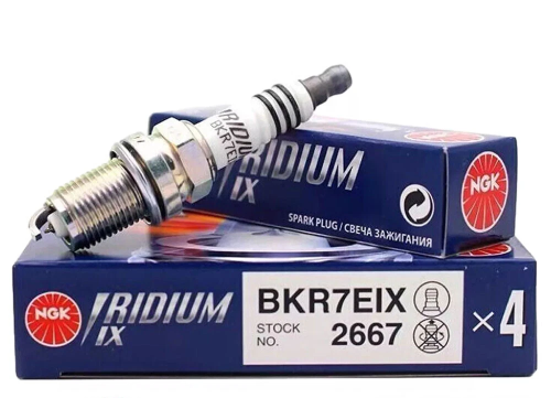 بواجي اريديوم BKR7