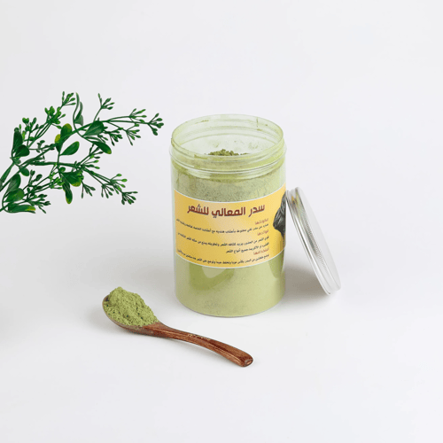 سدر المعالي - كبير