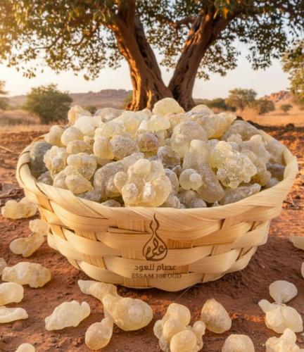 لبان الذكر العماني الفاخر الدرجه الاولى