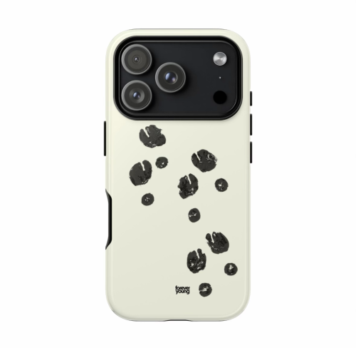 TABI Case