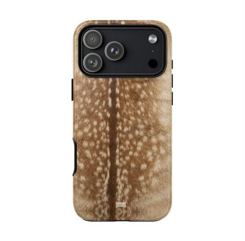 FAWN Case