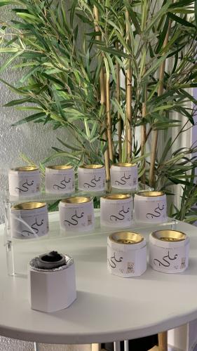 توزيعات مبخره ميني