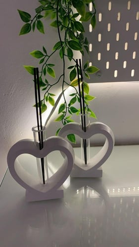 حامل فواحه او نبته