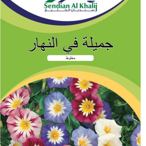 جميله في النهار