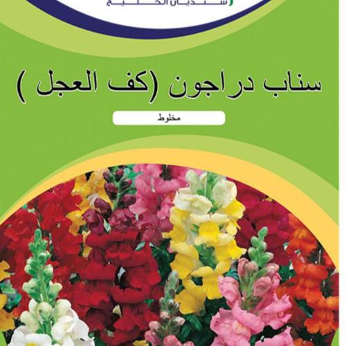 سناب دراجون (كف العجل )