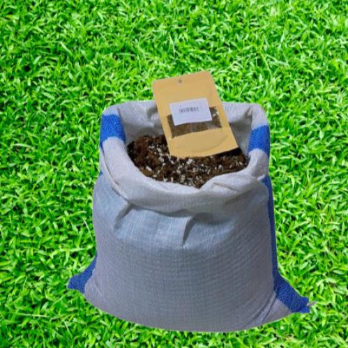 كيس تربة افكار الحديقة مع بذور ورقيات