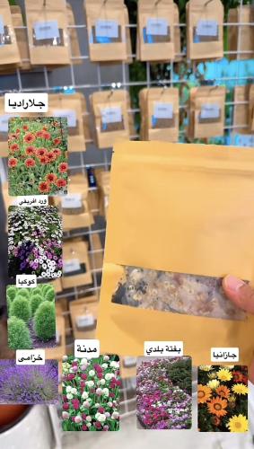 بذور زهور الحديقة