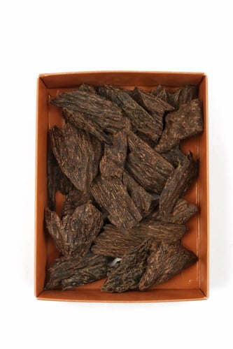 كلمنتان الأشهب