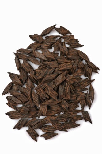 تايقر فيتنامي - ميني