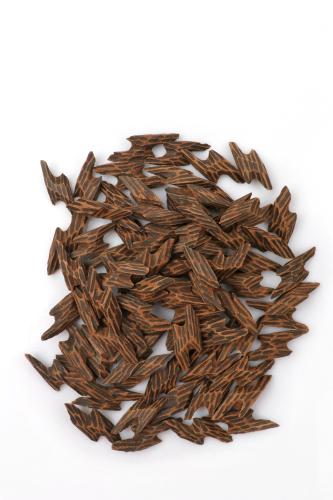 تايقر اندونيسي - كبير