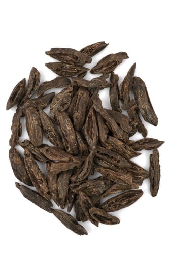 بنتلي الندى