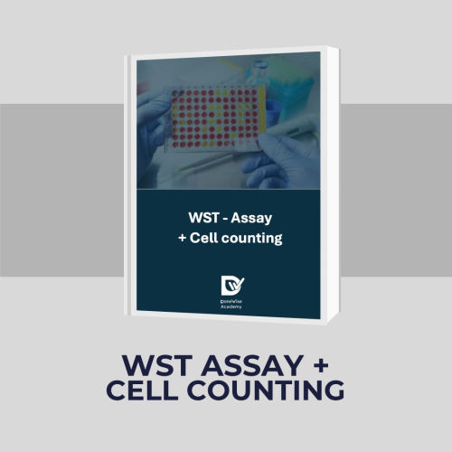 Cell viability using WST + Cell count