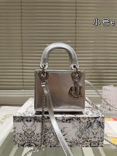 Ladi Dior Bag Mini
