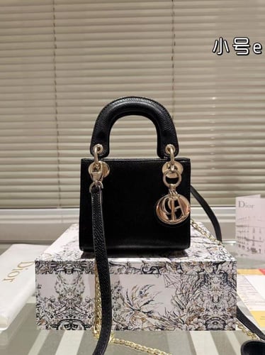 Ladi Dior Bag Mini