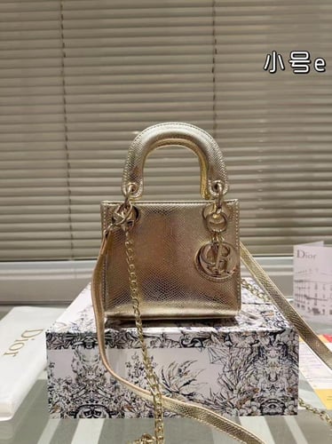 Ladi Dior Bag Mini