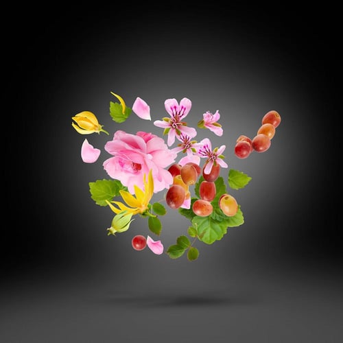 عطر زيرجوف كازاموراتي ريجيو أو دو بارفان 100مل