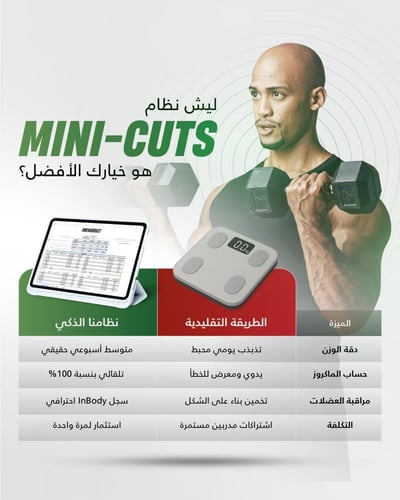 نظام خسارة الدهون Mini Cut