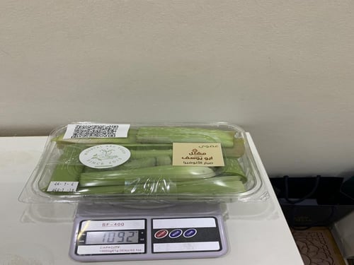 صبار اولفيرا طازج 1 كيلو