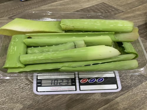 صبار اولفيرا طازج 1 كيلو