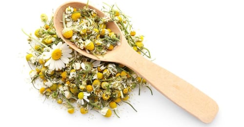 زهرة البابونج 90 جم