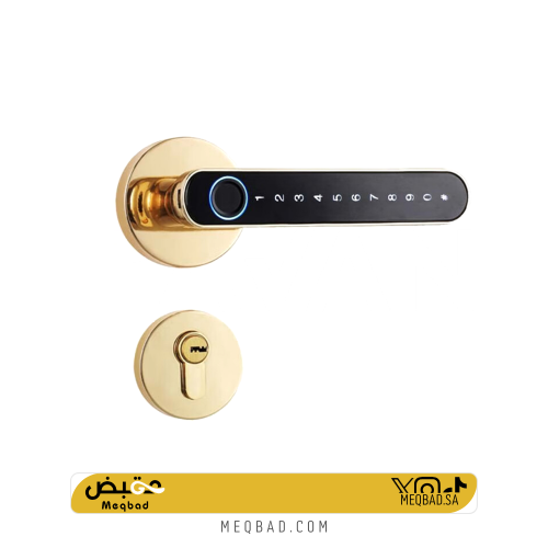 مقبض باب مفصول الكتروني - CAVAN S1