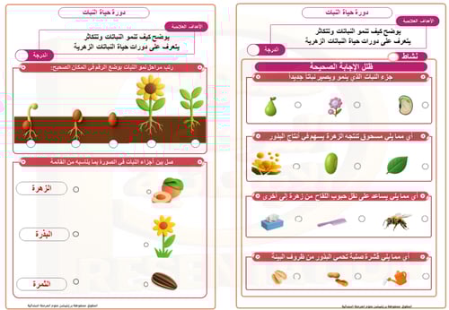 خطة معالجة ضعف الطلاب في مادة العلوم الصف الثالث