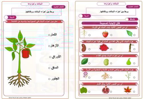 خطة معالجة ضعف الطلاب في مادة العلوم الصف الثالث
