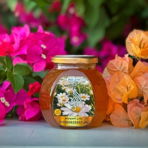 عسل ربيع حائل