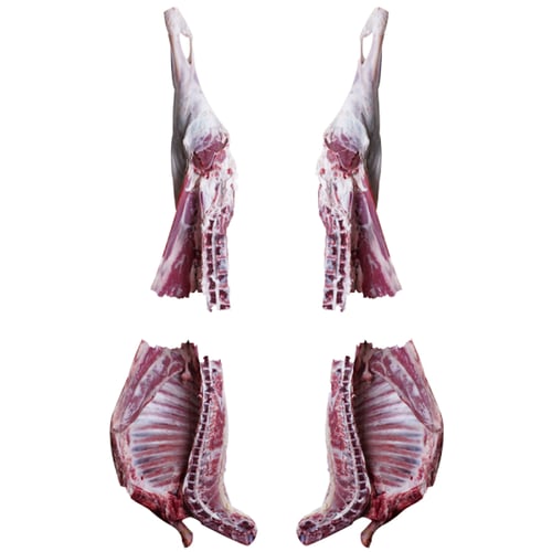 ذبيحة لباني حري 10-14 كيلو